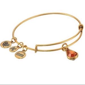 🆕✨Alex And Ani Adjustable Bangle✨